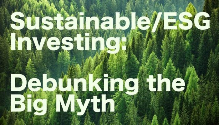 Sustainable ESG Investing Performance