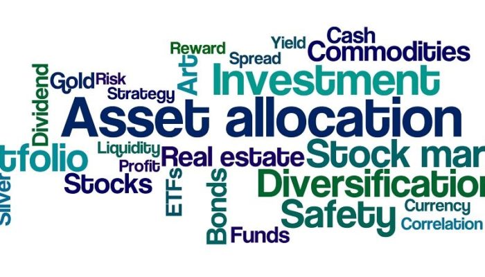 Diversification-and-Asset-Allocation